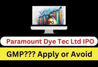 Paramount Dye Tec Limited IPO