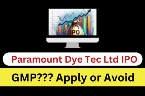 Paramount Dye Tec Limited IPO